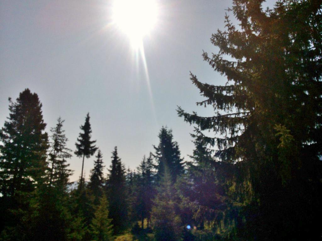 Ferienwohnungen Lemberger Krimml Buitenkant foto