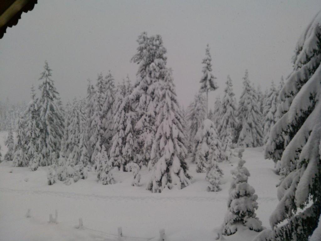 Ferienwohnungen Lemberger Krimml Buitenkant foto